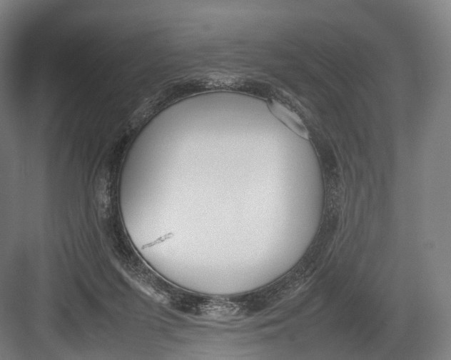 X0000082690215200702161732