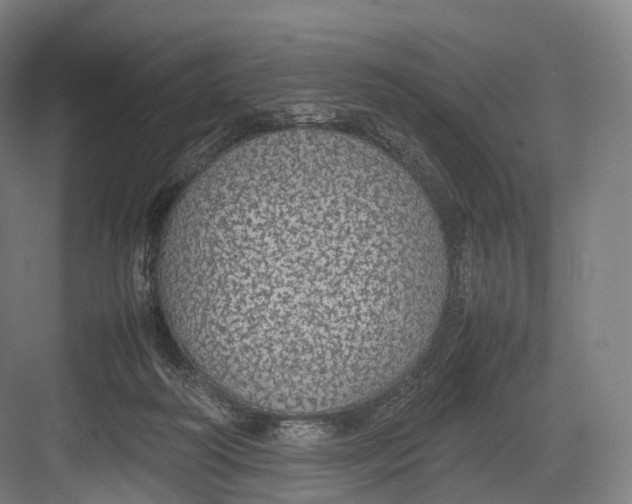 X0000082690218200702161732