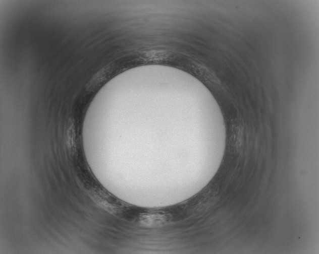 X0000082690220200702161732