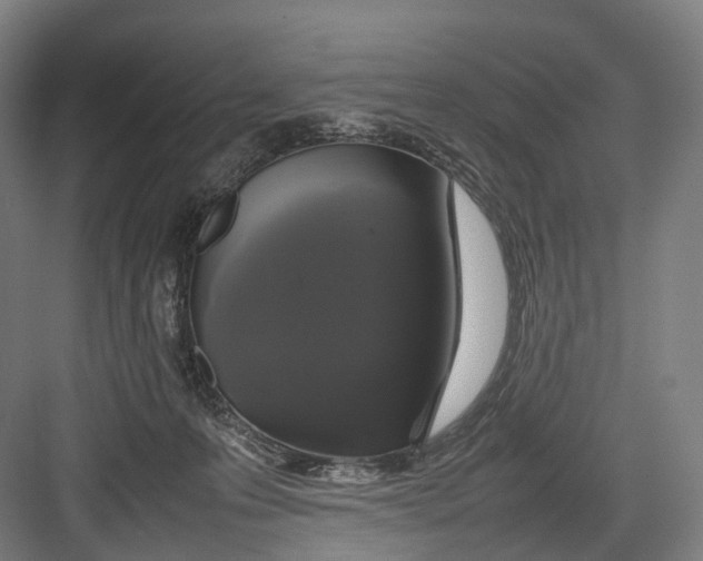 X0000082690223200702161732