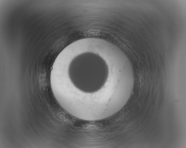 X0000082690224200702161732