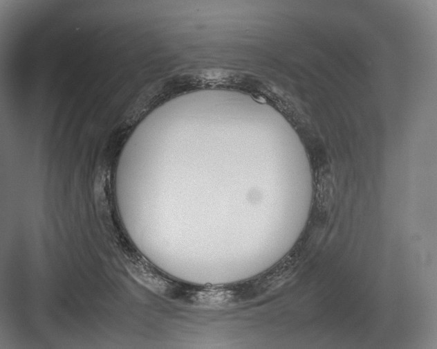 X0000082690225200702161732