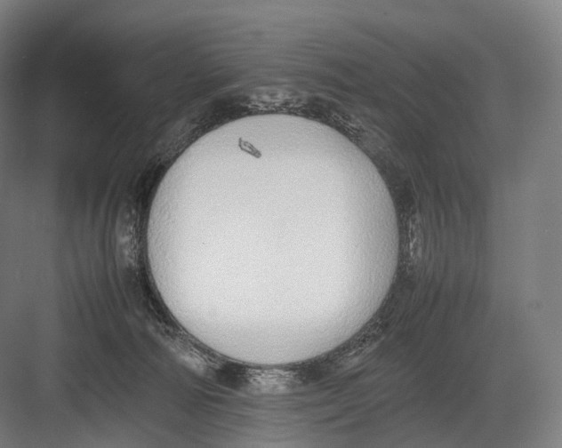 X0000082690226200702161732