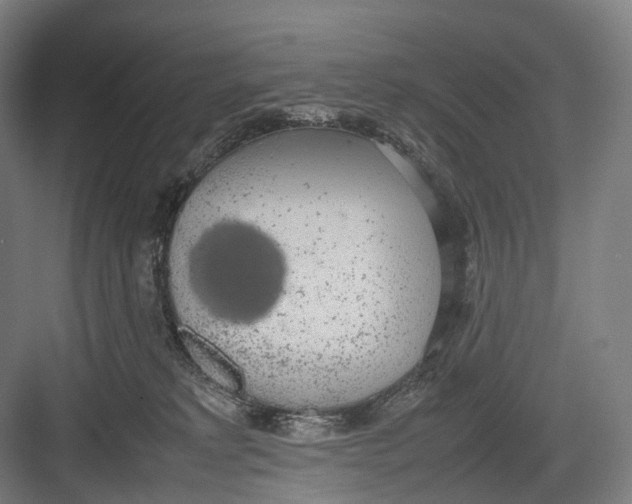 X0000082690229200702161732