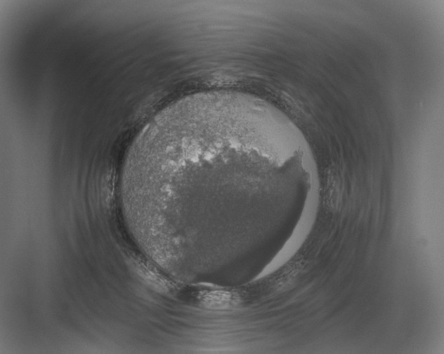 X0000082690230200702161732