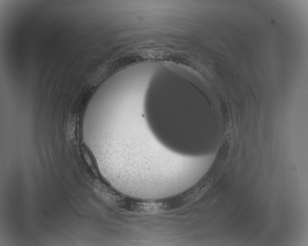 X0000082690233200702161732