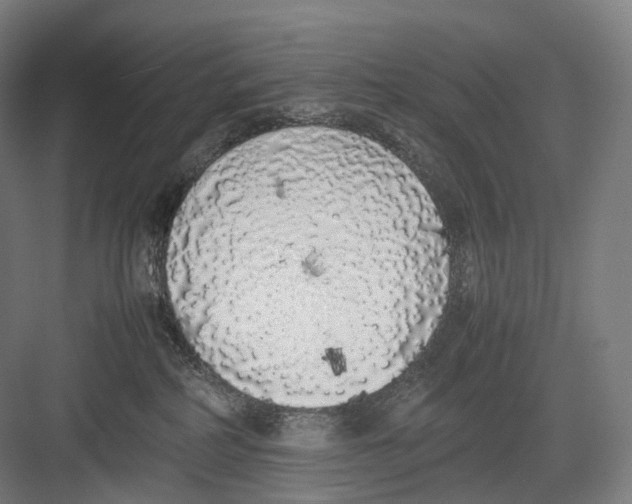 X0000082690234200702161732