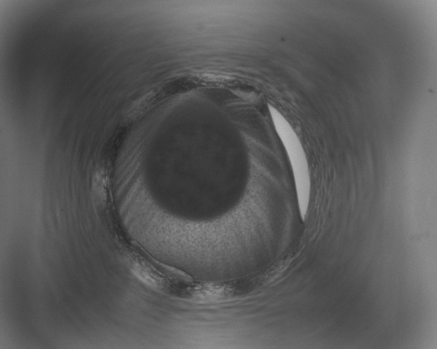 X0000082690235200702161732