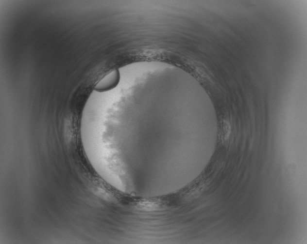 X0000082690236200702161732