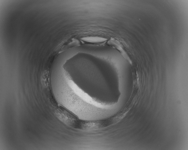 X0000082690237200702161732