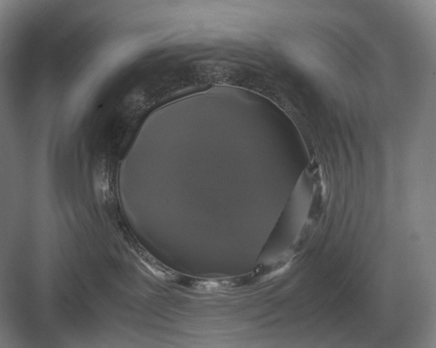 X0000082690239200702161732