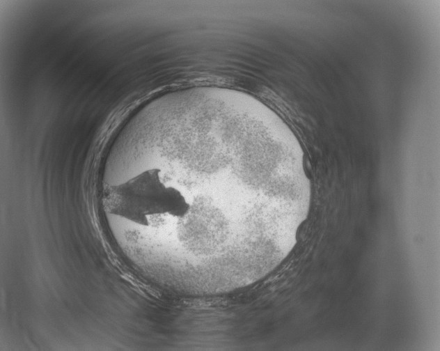 X0000082690241200702161731