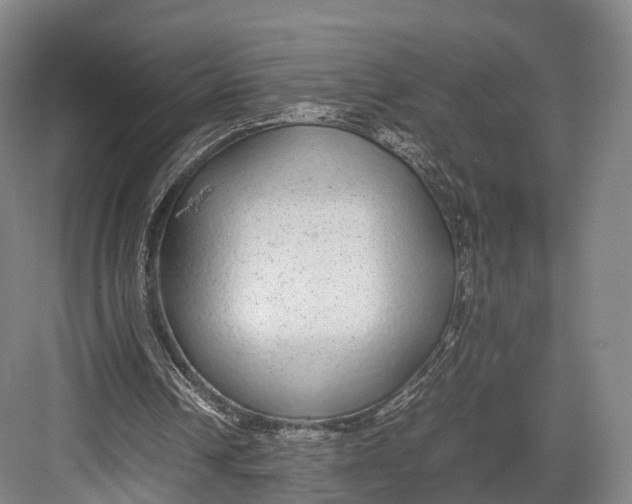 X0000082690242200702161731