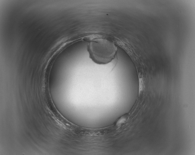 X0000082690243200702161731