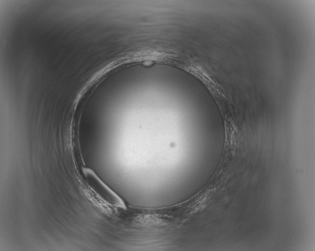 X0000082690244200702161731