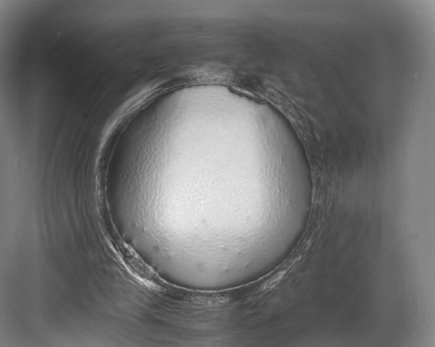 X0000082690245200702161731