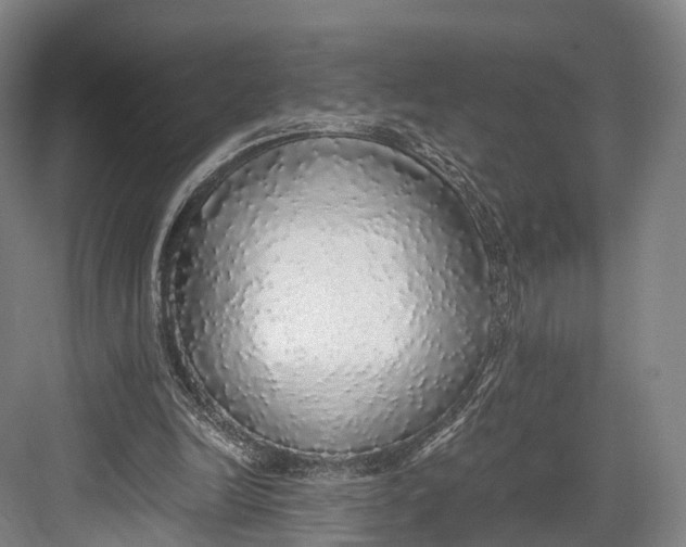 X0000082690246200702161731