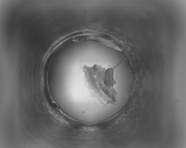 X0000082690247200702161731