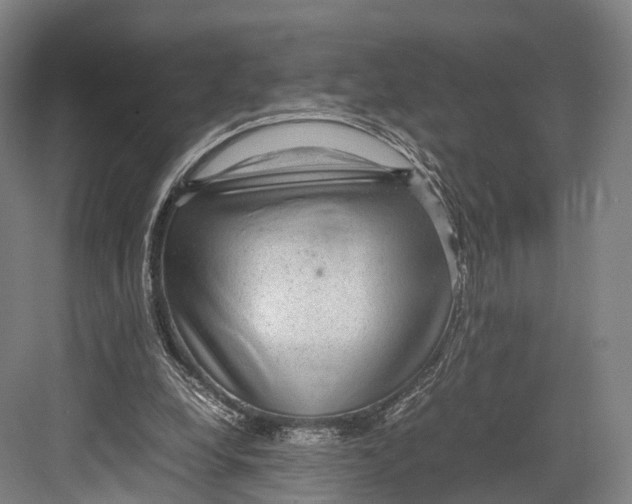 X0000082690248200702161731