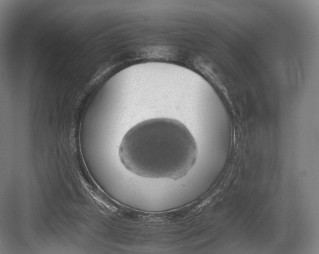 X0000082690249200702161731