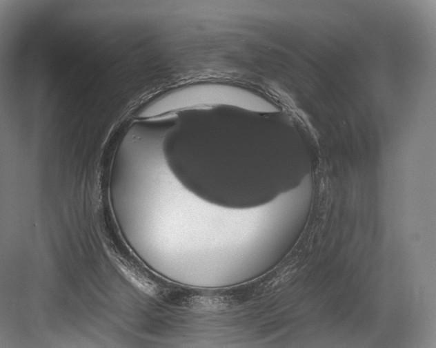 X0000082690250200702161731