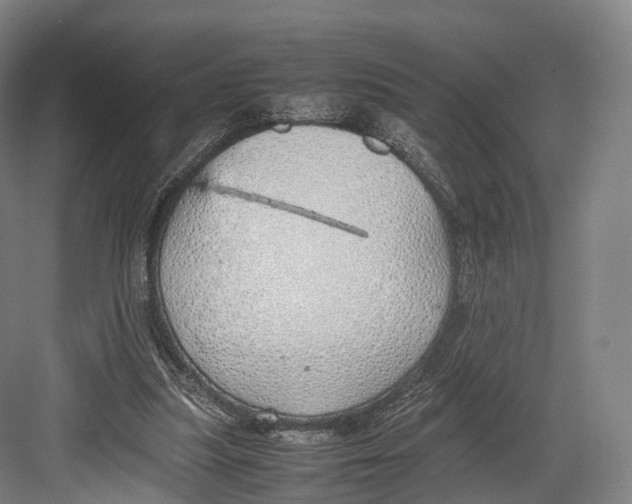 X0000082690251200702161731