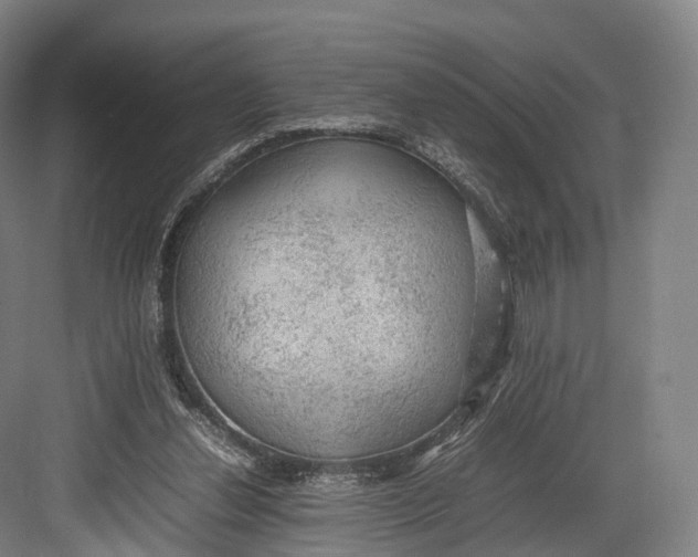 X0000082690252200702161731