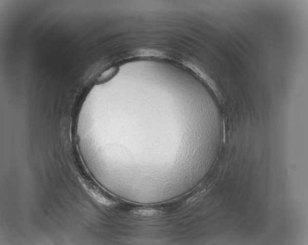 X0000082690253200702161731