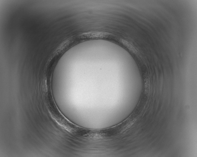 X0000082690254200702161731