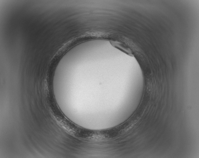 X0000082690256200702161731