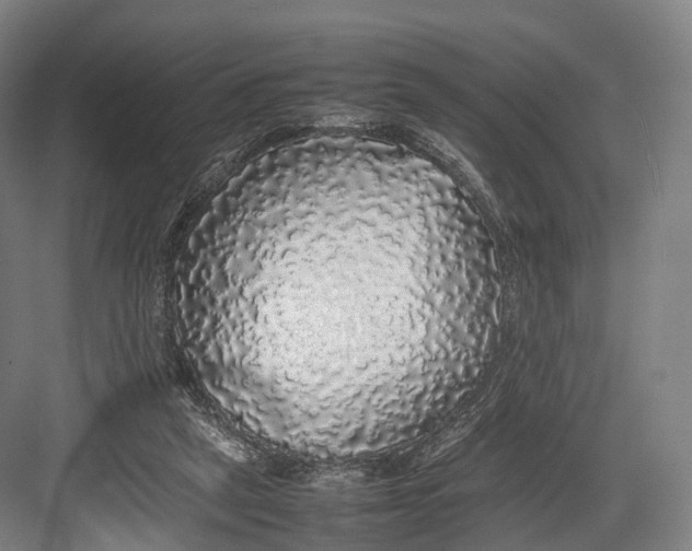 X0000082690257200702161731