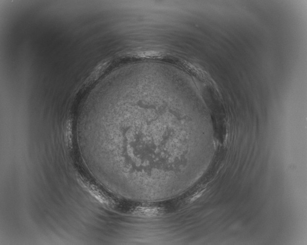 X0000082690260200702161731