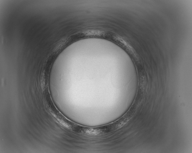 X0000082690261200702161731