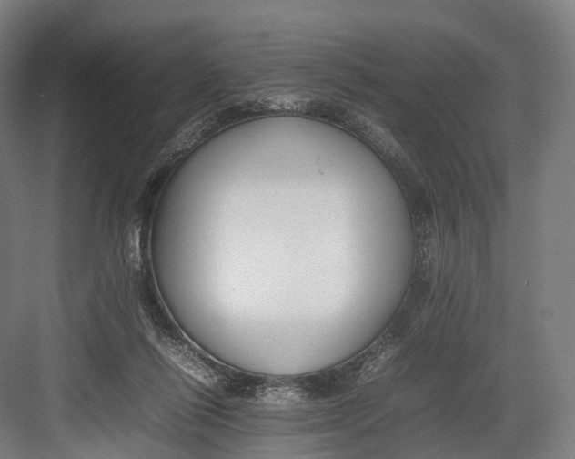 X0000082690262200702161731