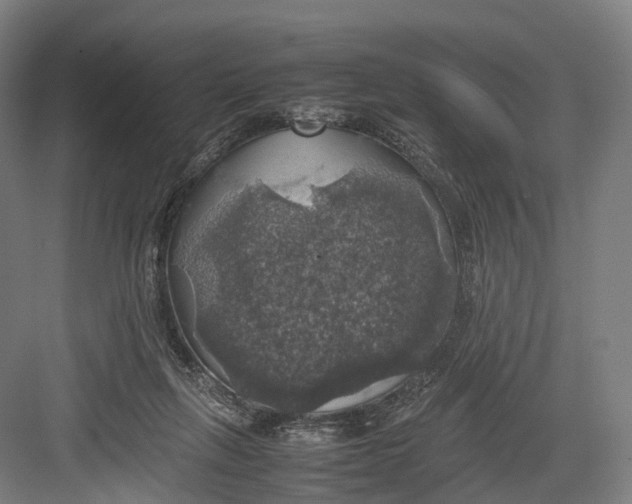 X0000082690263200702161731