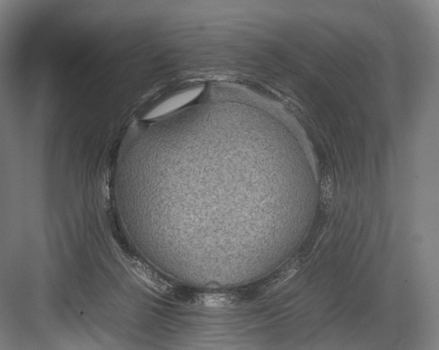 X0000082690264200702161731