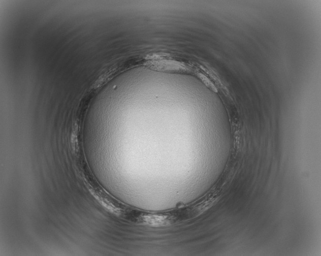 X0000082690265200702161731