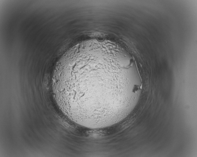 X0000082690273200702161732