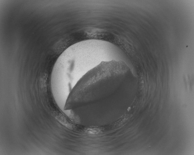 X0000082690275200702161732