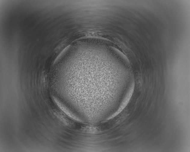 X0000082690276200702161732