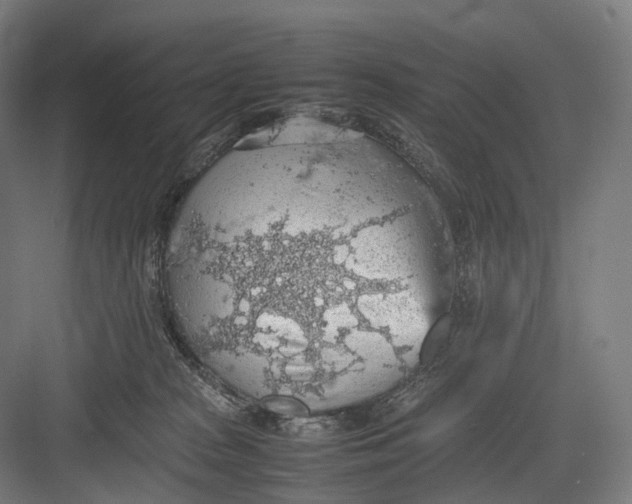 X0000082690277200702161732