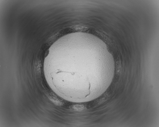 X0000082690279200702161732