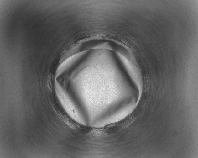 X0000082690280200702161732