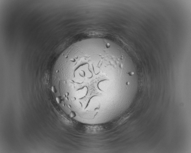 X0000082690281200702161732