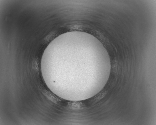 X0000082690282200702161732