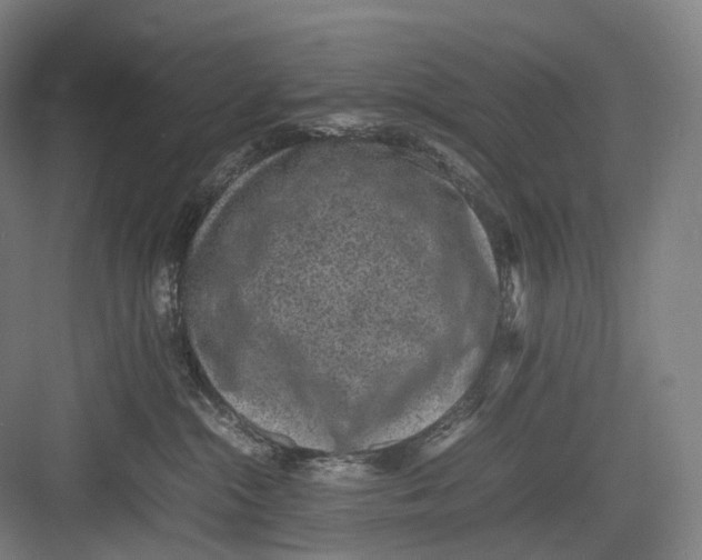 X0000082690284200702161732