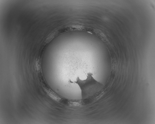 X0000082690285200702161732