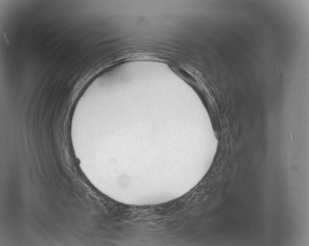 X0000082690289200702161731