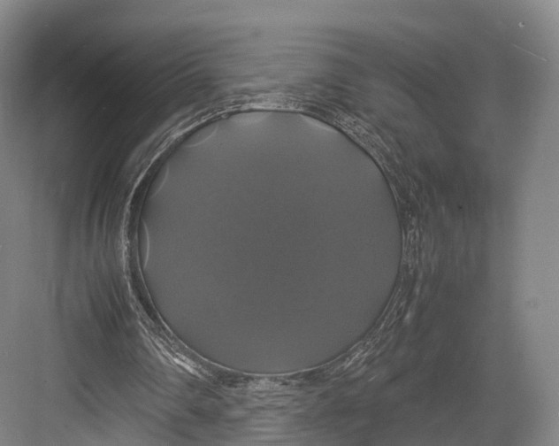 X0000082690290200702161731