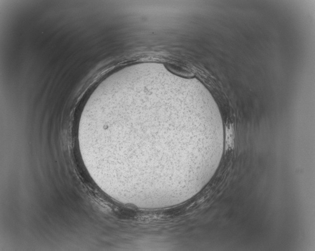 X0000082690291200702161731